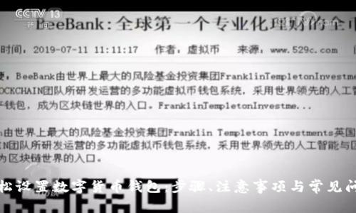 如何轻松设置数字货币钱包：步骤、注意事项与常见问题解答