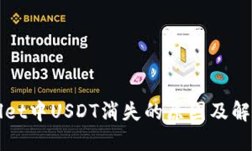 TPWallet中USDT消失的原因及解决方法