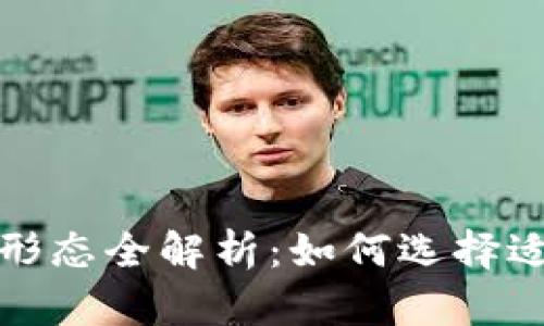 数字人民币钱包形态全解析:如何选择适合你的钱包类型