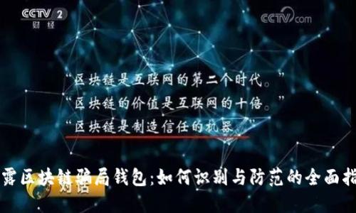 揭露区块链骗局钱包:如何识别与防范的全面指南