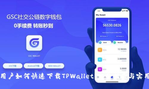 大陆用户如何快速下载TPWallet:完整指南与实用技巧
