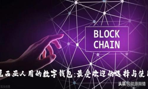 优质
印度尼西亚人用的数字钱包:最受欢迎的选择与使用指南