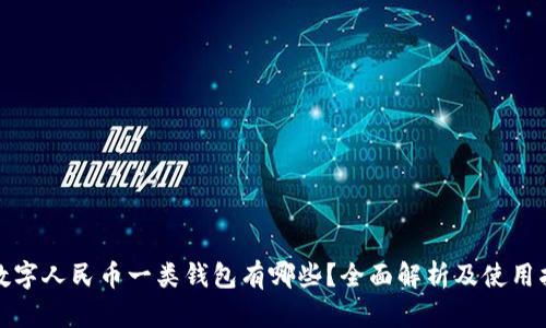 : 数字人民币一类钱包有哪些?全面解析及使用指南