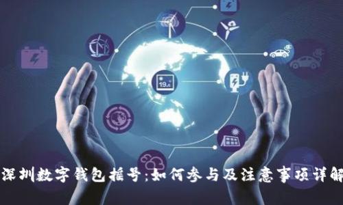 深圳数字钱包摇号:如何参与及注意事项详解