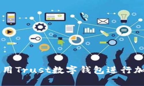 如何安全使用Trust数字钱包进行加密货币交易