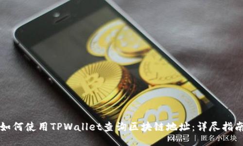 如何使用TPWallet查询区块链地址:详尽指南