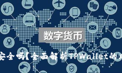 TPWallet安全吗？全面解析TPWallet的风险与优势