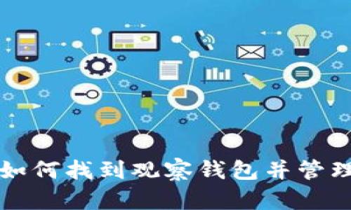 : TP Wallet:如何找到观察钱包并管理您的数字资产