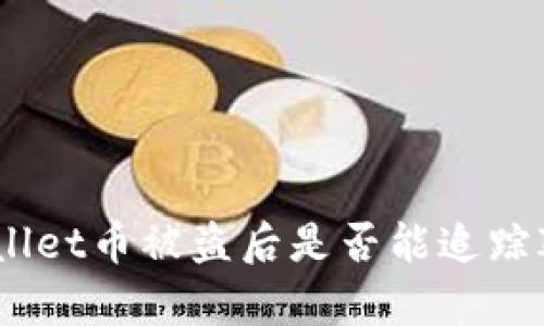 : tpwallet币被盗后是否能追踪IP地址？