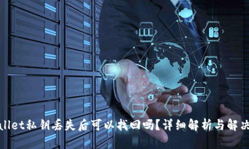 tpwallet私钥丢失后可以找回吗？详细解析与解决方案