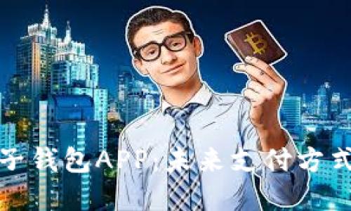 央行数字电子钱包APP：未来支付方式的革新之路