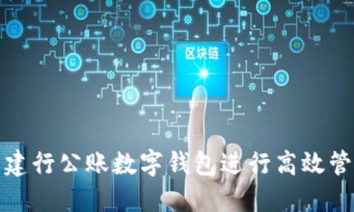 如何使用建行公账数字钱包进行高效管理与支付
