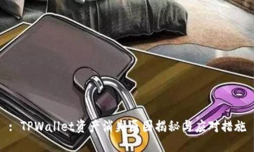 : TPWallet资产消失原因揭秘与应对措施