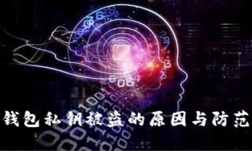 数字钱包私钥被盗的原因与防范措施