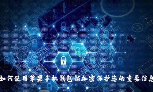 如何使用苹果手机钱包锁加密保护您的重要信息