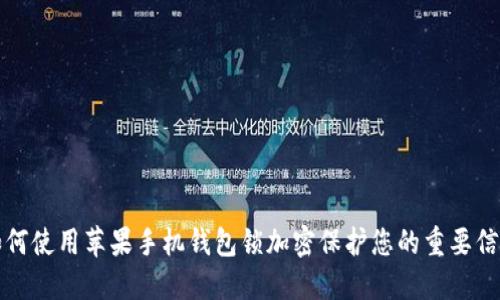 如何使用苹果手机钱包锁加密保护您的重要信息
