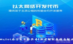 : TPWallet为什么不能买币？深度解析原因与解决方