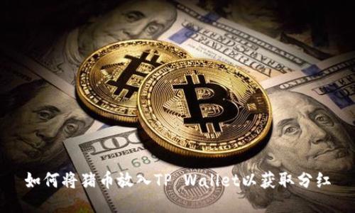 如何将猪币放入TP Wallet以获取分红