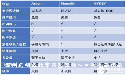 深圳光明区数字钱包预约入口的全面指南