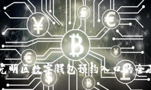 深圳光明区数字钱包预约入口的全面指南