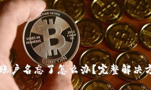 TPWallet账户名忘了怎么办？完整解决方案与技巧