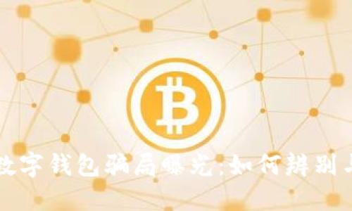 央视数字钱包骗局曝光:如何辨别与防范