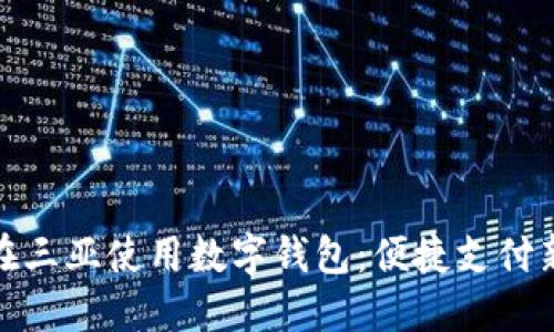 如何在三亚使用数字钱包：便捷支付新选择