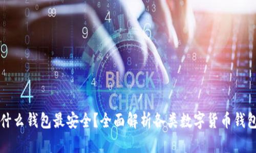 区块链用什么钱包最安全?全面解析各类数字货币钱包的安全性