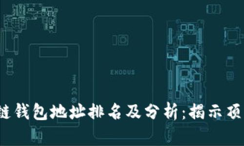 2023年区块链钱包地址排名及分析：揭示顶尖钱包的秘密
