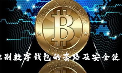 如何识别数字钱包的套路及安全使用指南