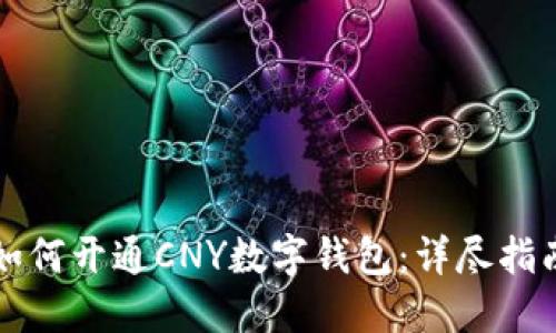 如何开通CNY数字钱包:详尽指南