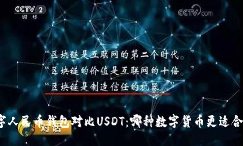 数字人民币钱包对比USDT：哪种数字货币更适合你？