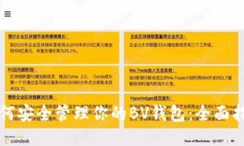 如何安全管理你的BV钱包:全面指南