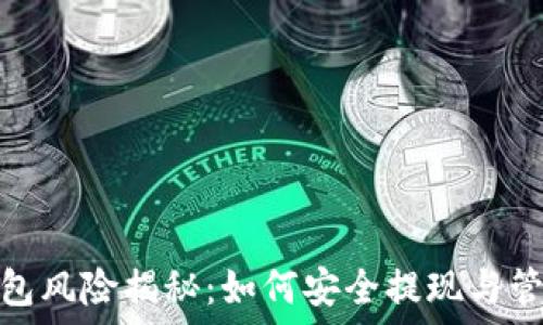 数字钱包风险揭秘:如何安全提现与管理资金