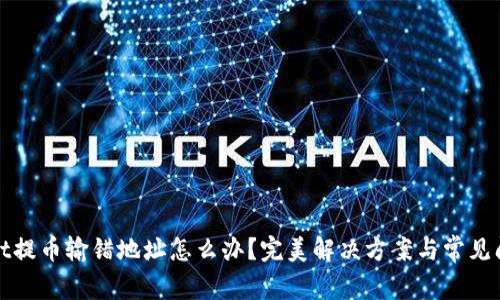 tpwallet提币输错地址怎么办?完美解决方案与常见问题解析