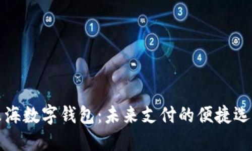 珠海数字钱包:未来支付的便捷选择