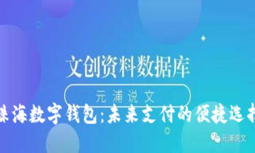 珠海数字钱包:未来支付的便捷选择