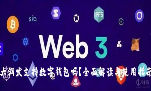 大润发支持数字钱包吗?全面解读与使用指南