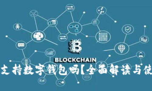 大润发支持数字钱包吗?全面解读与使用指南