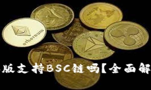 tpwallet电脑版支持BSC链吗?全面解析与使用指南