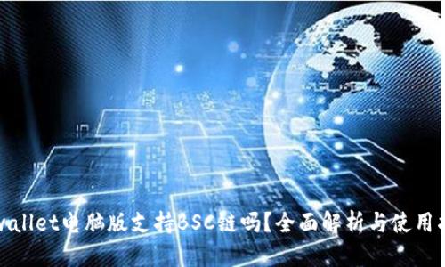 tpwallet电脑版支持BSC链吗?全面解析与使用指南