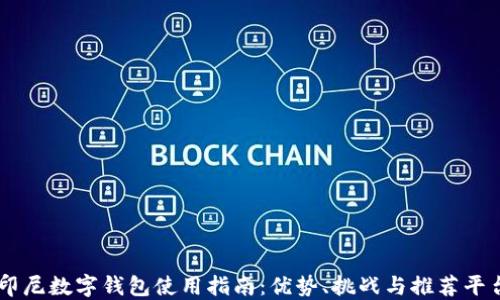 印尼数字钱包使用指南:优势、挑战与推荐平台