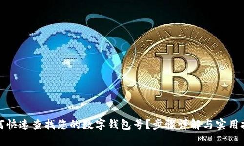如何快速查找您的数字钱包号?步骤详解与实用技巧
