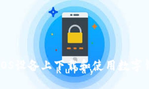 如何在iOS设备上下载和使用数字钱包应用