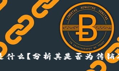 TPWallet是什么？分析其是否为传销及相关风险