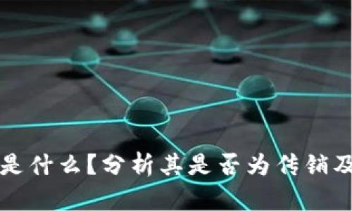 TPWallet是什么？分析其是否为传销及相关风险