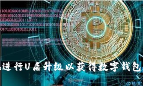 如何高效地进行U盾升级以获得数字钱包的最佳体验