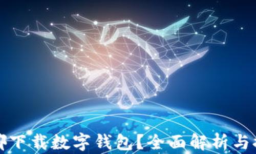 在哪下载数字钱包?全面解析与推荐