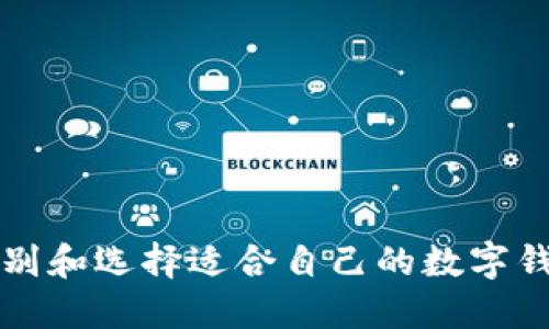 如何识别和选择适合自己的数字钱包类型