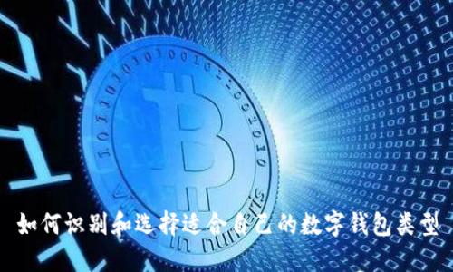 如何识别和选择适合自己的数字钱包类型